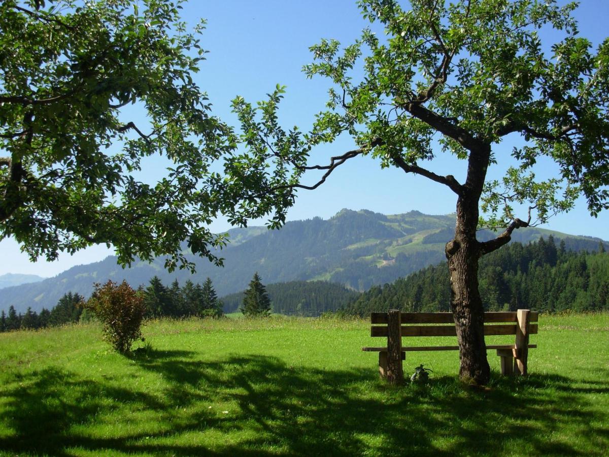 Апартаменты Filzenhof Кицбюэль Номер фото